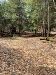 160 Breckheimer Road, West Monroe, New York image 12