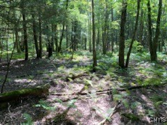 160 Breckheimer Road, West Monroe, New York image 11