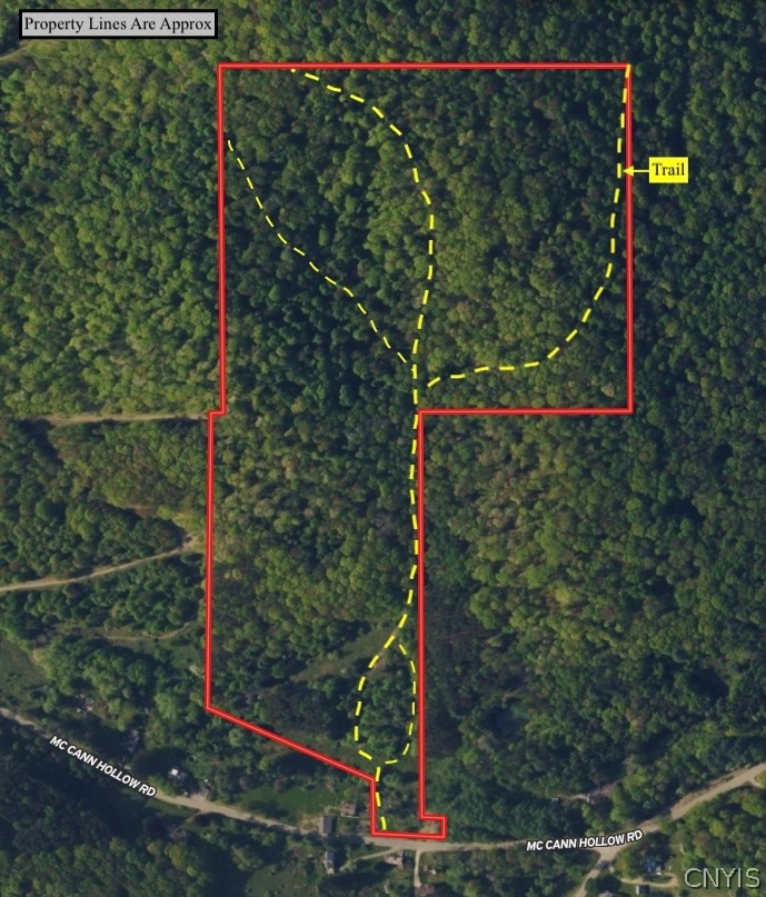 McCann Hollow Road