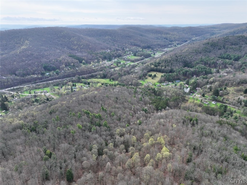 McCann Hollow Road