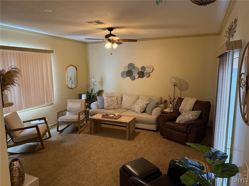 902 Woburn Drive, Camillus, New York image 6