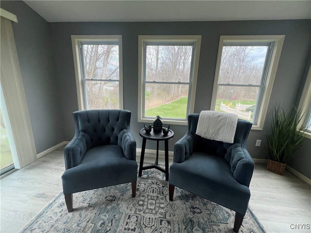 8391 Shoveler Lane, Clay, New York image 18