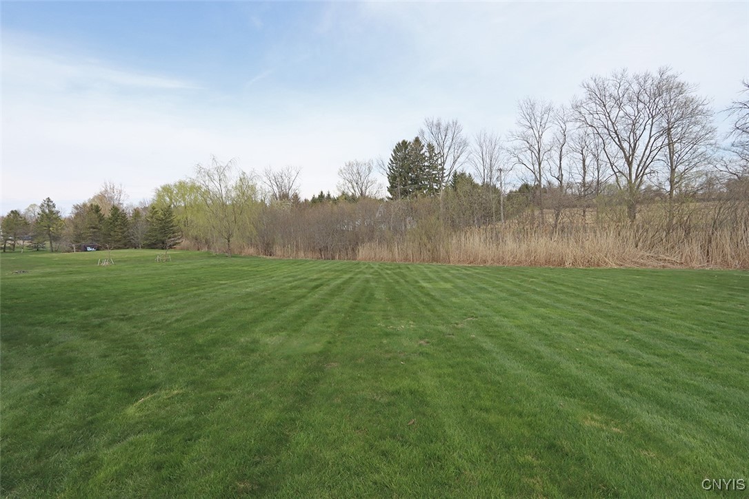 9105 Whistling Swan Lane, Manlius, New York image 46