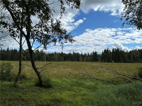 1406 Gray Wilmurt Road Cold Brook NY 13324