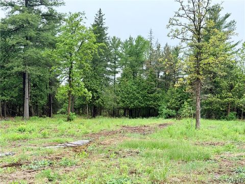 Photo of County Rte 8 ST, Cape Vincent, NY 13618 (MLS # S1684833)