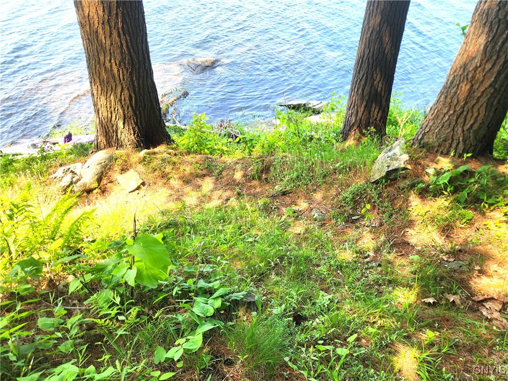41202 Red Lake Lk, Theresa, New York image 44