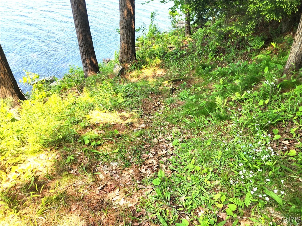 41202 Red Lake Lk, Theresa, New York image 42