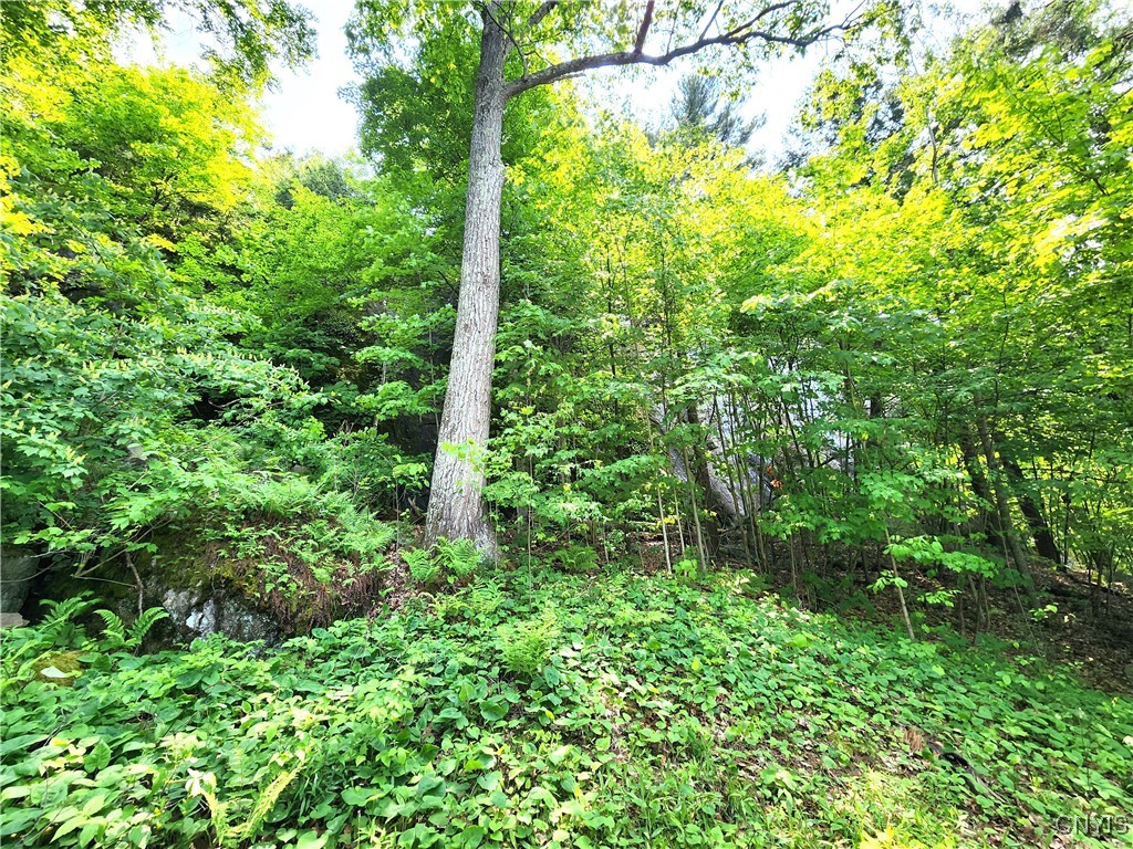 41202 Red Lake Lk, Theresa, New York image 31