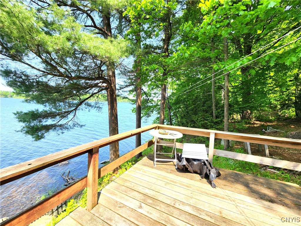 41202 Red Lake Lk, Theresa, New York image 9