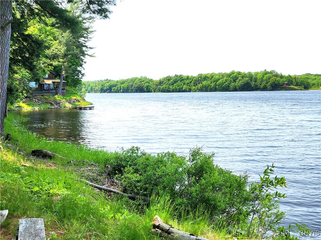 41202 Red Lake Lk, Theresa, New York image 48