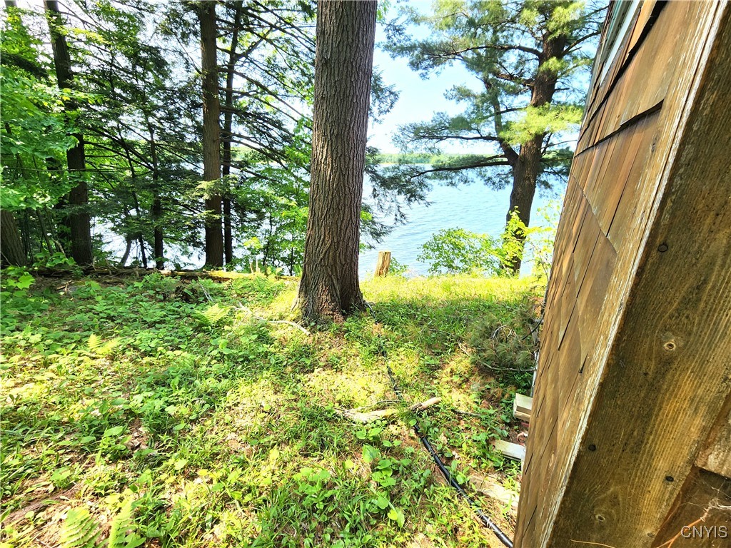 41202 Red Lake Lk, Theresa, New York image 29
