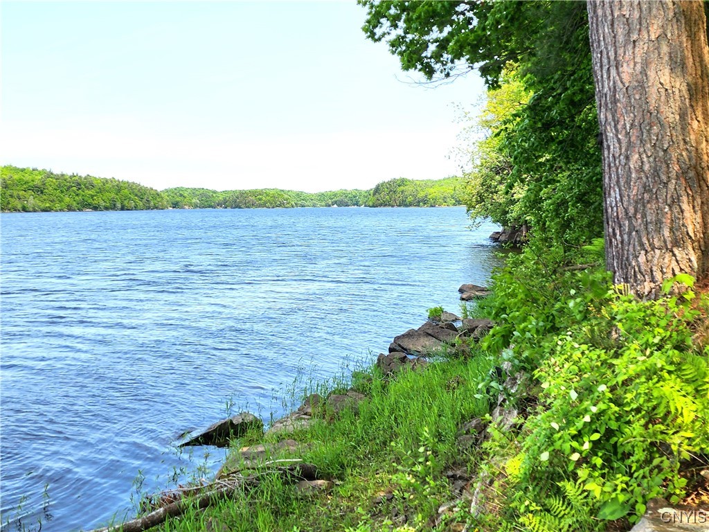 41202 Red Lake Lk, Theresa, New York image 49