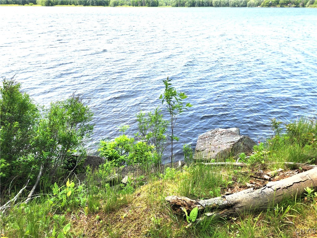 41202 Red Lake Lk, Theresa, New York image 46