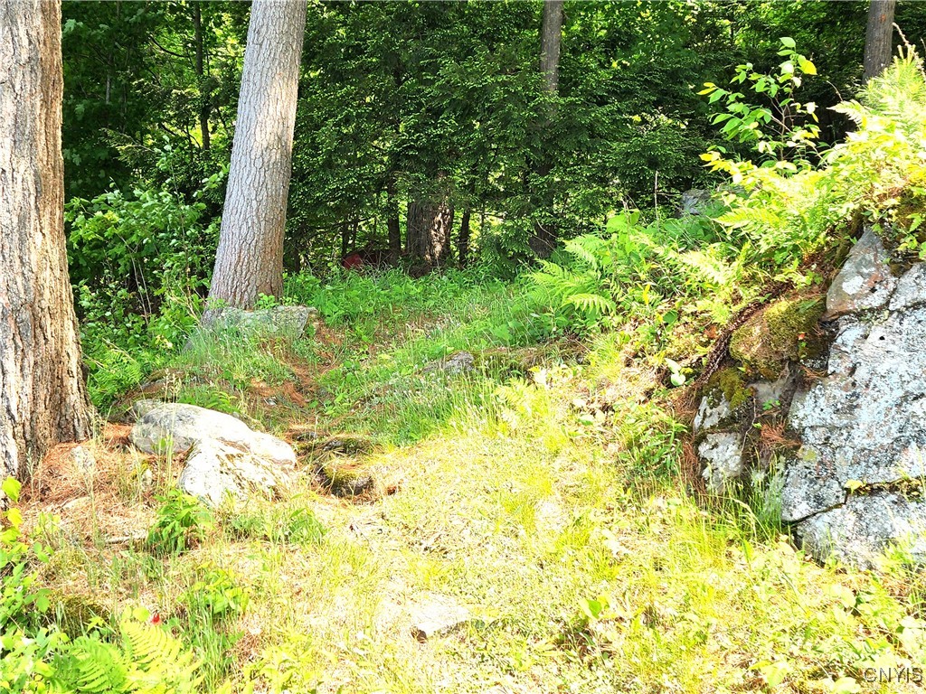 41202 Red Lake Lk, Theresa, New York image 5