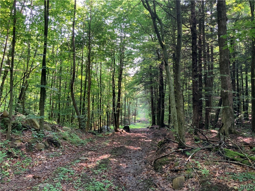 25 Lincoln Mountain Road