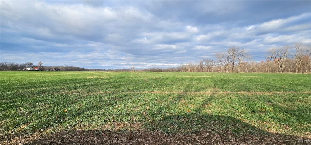 Photo of State Route 96A, Romulus, NY 14541 (MLS # S1652727)