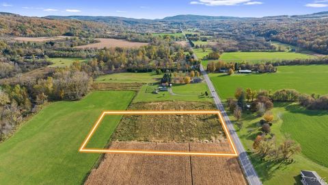 Vacant Land For Sale - Oran Delphi Road<br/> Pompey, NY 13104