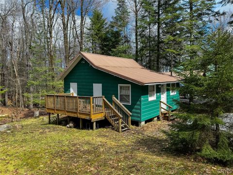 Photo of 291 Joy Tract Road, Webb, NY 13420 (MLS # S1674524)