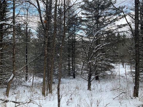 Vacant Land For Sale - 00 Curncross Road<br/> Chenango County, Smyrna, NY 13464