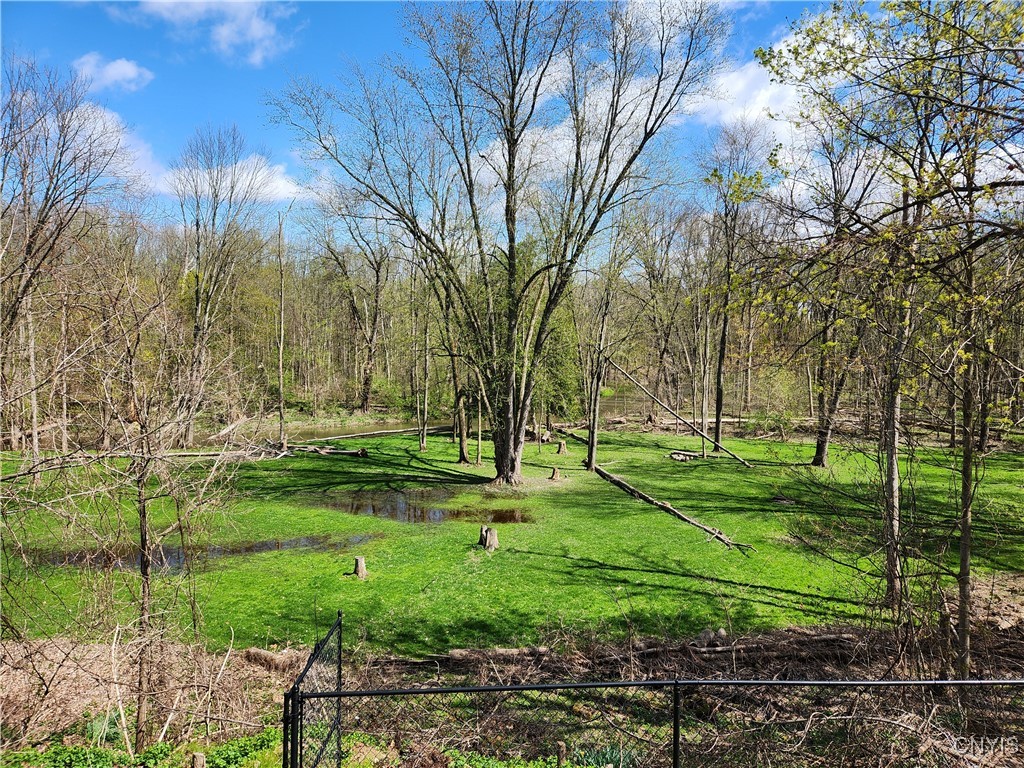 316 East Avenue, Manlius, New York image 28