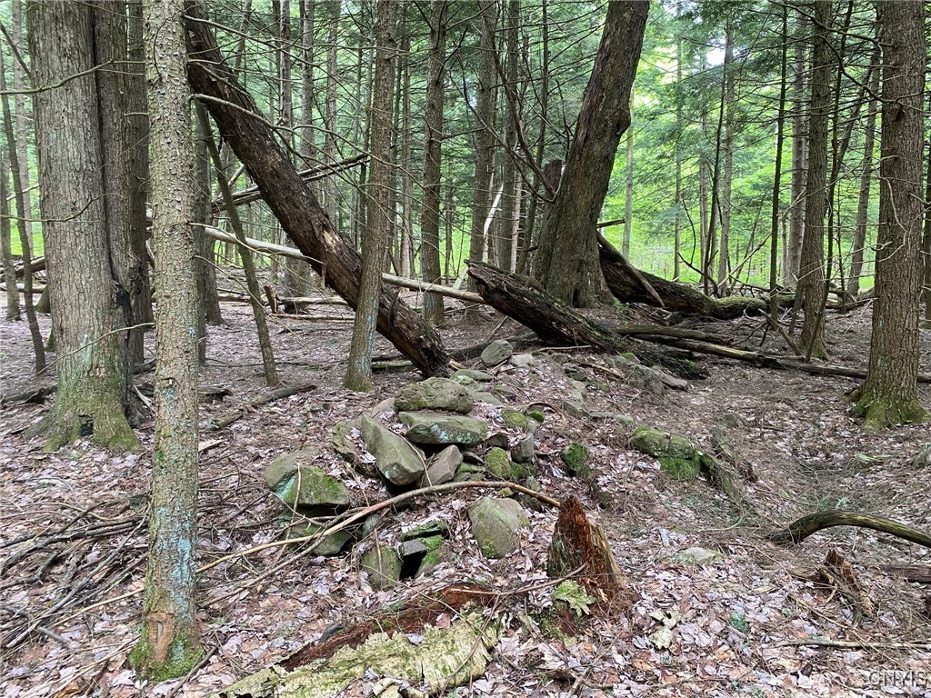 White Road, Parish, New York image 6