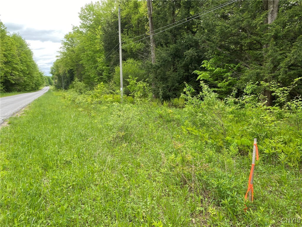 White Road, Parish, New York image 21