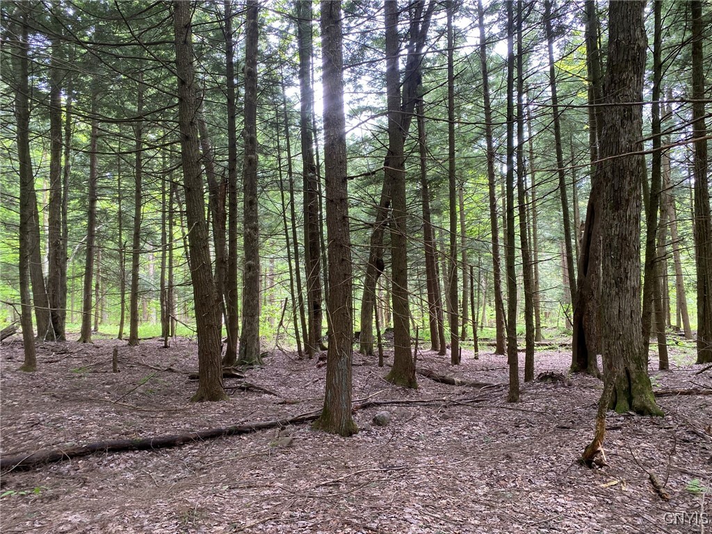 White Road, Parish, New York image 14