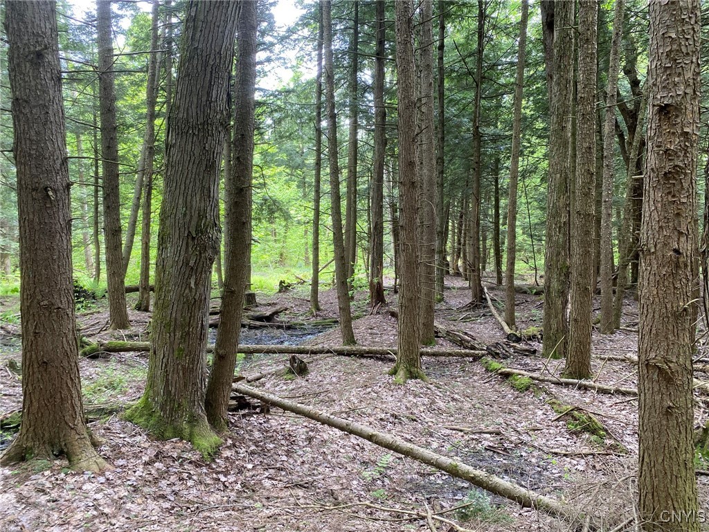 White Road, Parish, New York image 8