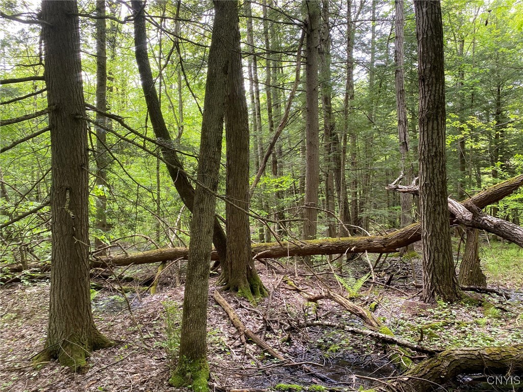 White Road, Parish, New York image 16