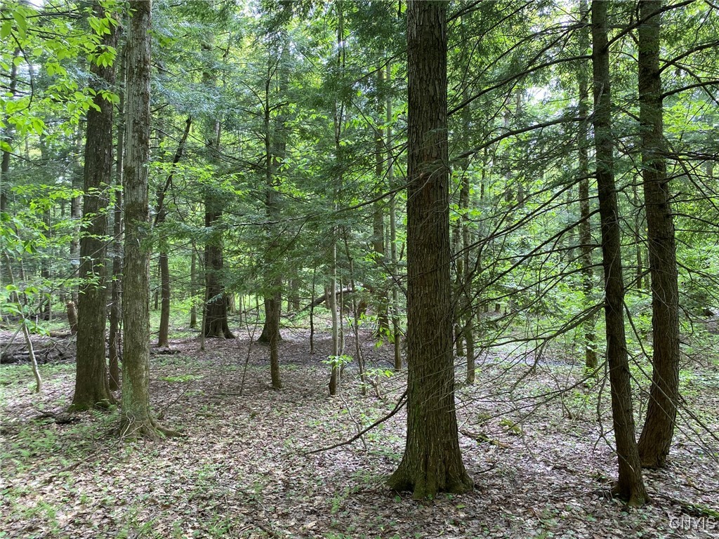 White Road, Parish, New York image 1