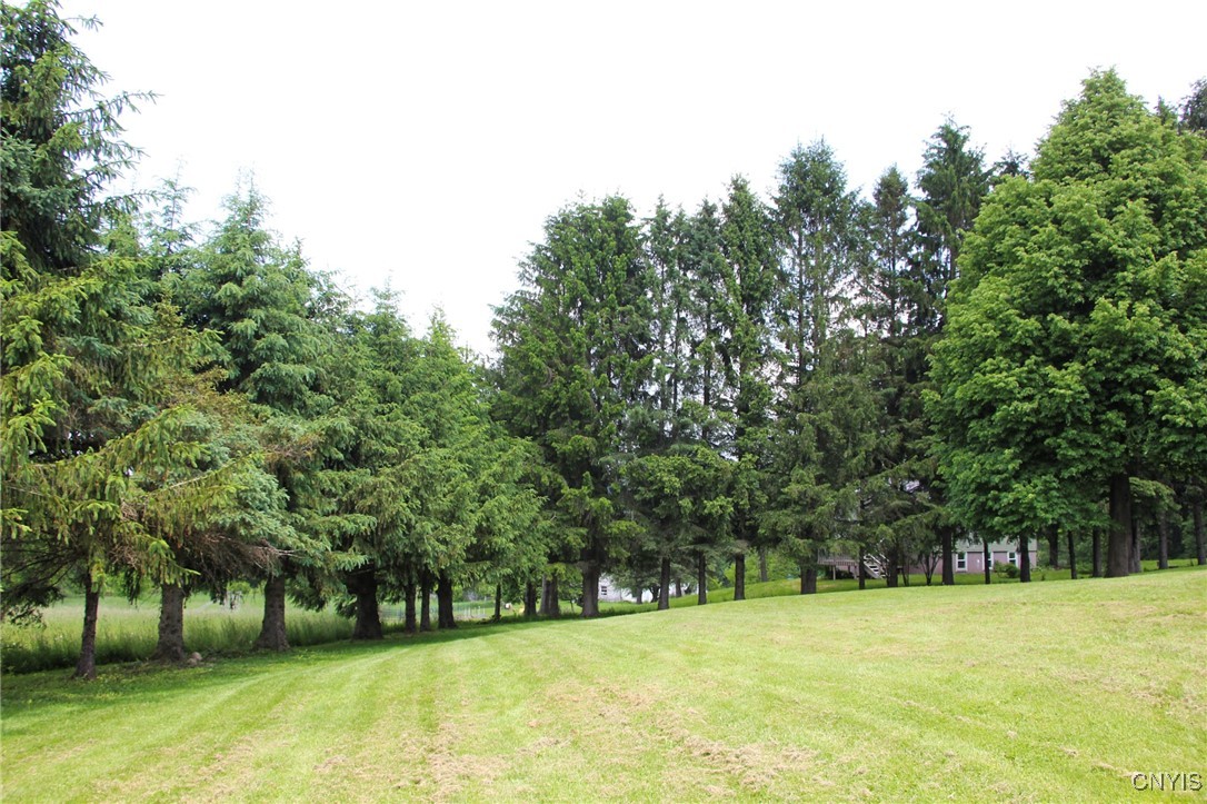 465 Blanding Road, Sherburne, New York image 11
