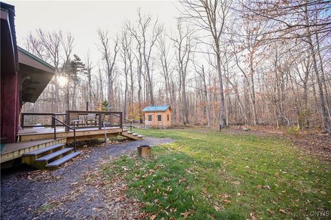 Tiny photo for 4893 State Route 8, Ohio, NY 13324 (MLS # S1648513)