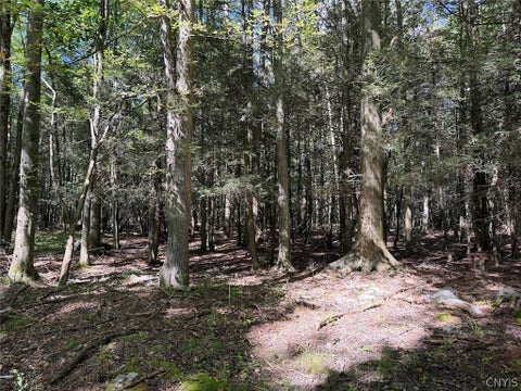 Tiny photo for 2005 Rt-39, Sheridan, NY 14062 (MLS # S1715480)
