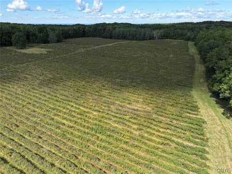 Tiny photo for 2005 Rt-39, Sheridan, NY 14062 (MLS # S1715480)