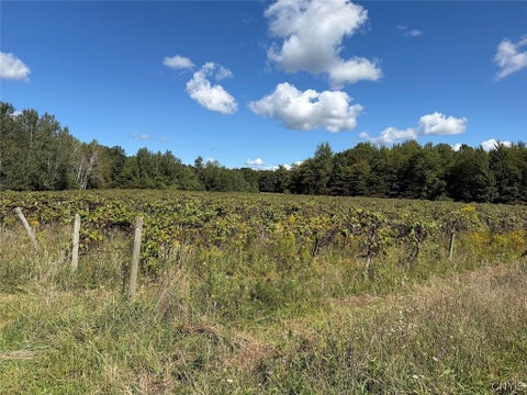Tiny photo for 2005 Rt-39, Sheridan, NY 14062 (MLS # S1715480)