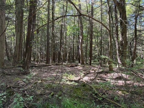 Tiny photo for 2005 Rt-39, Sheridan, NY 14062 (MLS # S1715480)