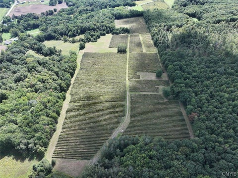 Tiny photo for 2005 Rt-39, Sheridan, NY 14062 (MLS # S1715480)