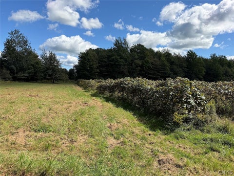 Tiny photo for 2005 Rt-39, Sheridan, NY 14062 (MLS # S1715480)