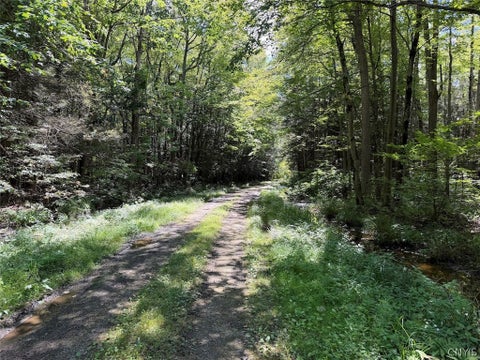Tiny photo for 2005 Rt-39, Sheridan, NY 14062 (MLS # S1715480)
