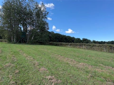Tiny photo for 2005 Rt-39, Sheridan, NY 14062 (MLS # S1715480)