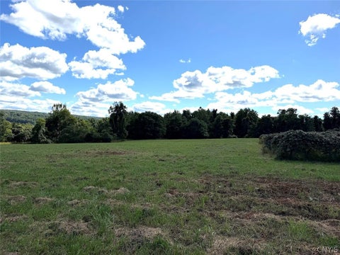 Tiny photo for 2005 Rt-39, Sheridan, NY 14062 (MLS # S1715480)
