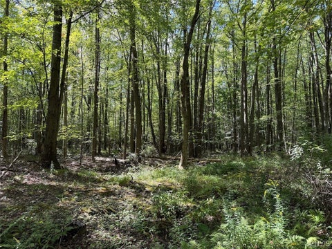 Tiny photo for 2005 Rt-39, Sheridan, NY 14062 (MLS # S1715480)