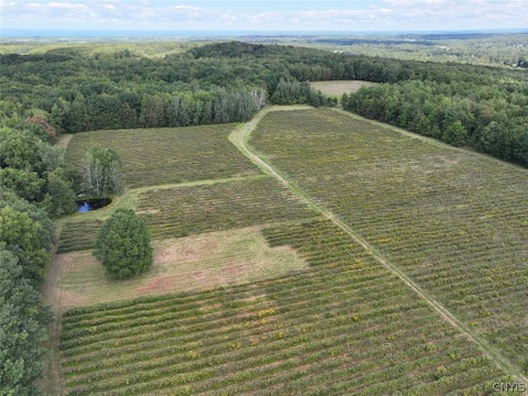 Tiny photo for 2005 Rt-39, Sheridan, NY 14062 (MLS # S1715480)