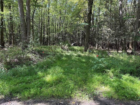 Tiny photo for 2005 Rt-39, Sheridan, NY 14062 (MLS # S1715480)