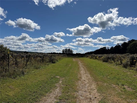 Tiny photo for 2005 Rt-39, Sheridan, NY 14062 (MLS # S1715480)