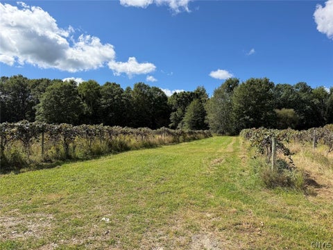 Tiny photo for 2005 Rt-39, Sheridan, NY 14062 (MLS # S1715480)
