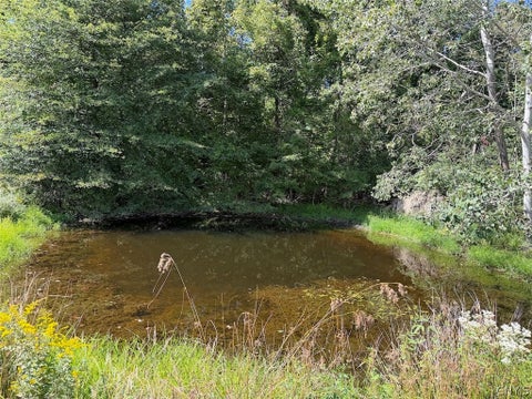 Tiny photo for 2005 Rt-39, Sheridan, NY 14062 (MLS # S1715480)