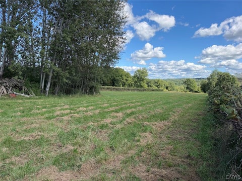 Tiny photo for 2005 Rt-39, Sheridan, NY 14062 (MLS # S1715480)