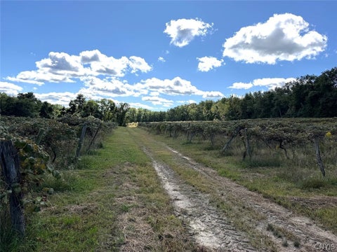 Tiny photo for 2005 Rt-39, Sheridan, NY 14062 (MLS # S1715480)