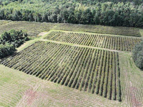 Tiny photo for 2005 Rt-39, Sheridan, NY 14062 (MLS # S1715480)